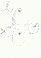 obrazek/thumbnail